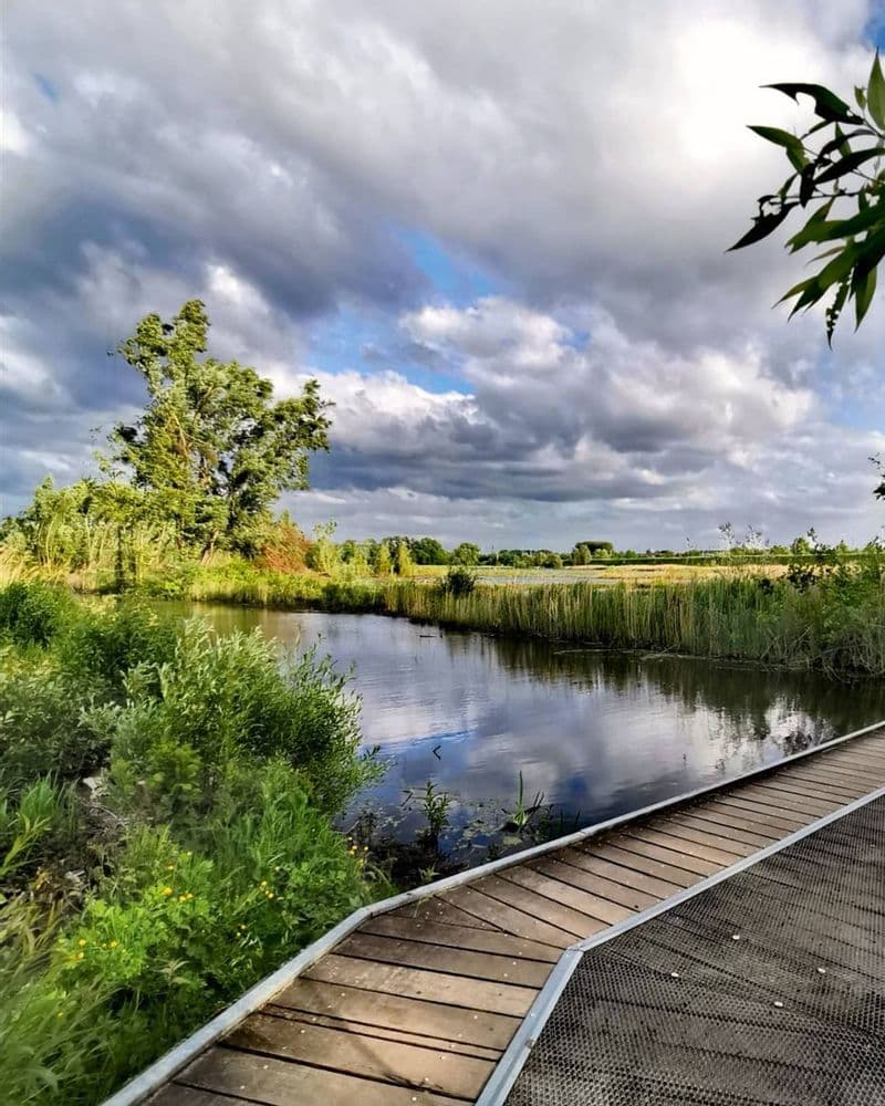 Houten vlonderpad langs een plas in De Bourgoyen