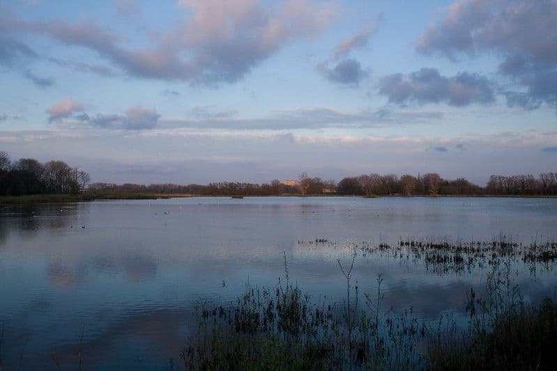 Plas in De Bourgoyen bij avondlicht